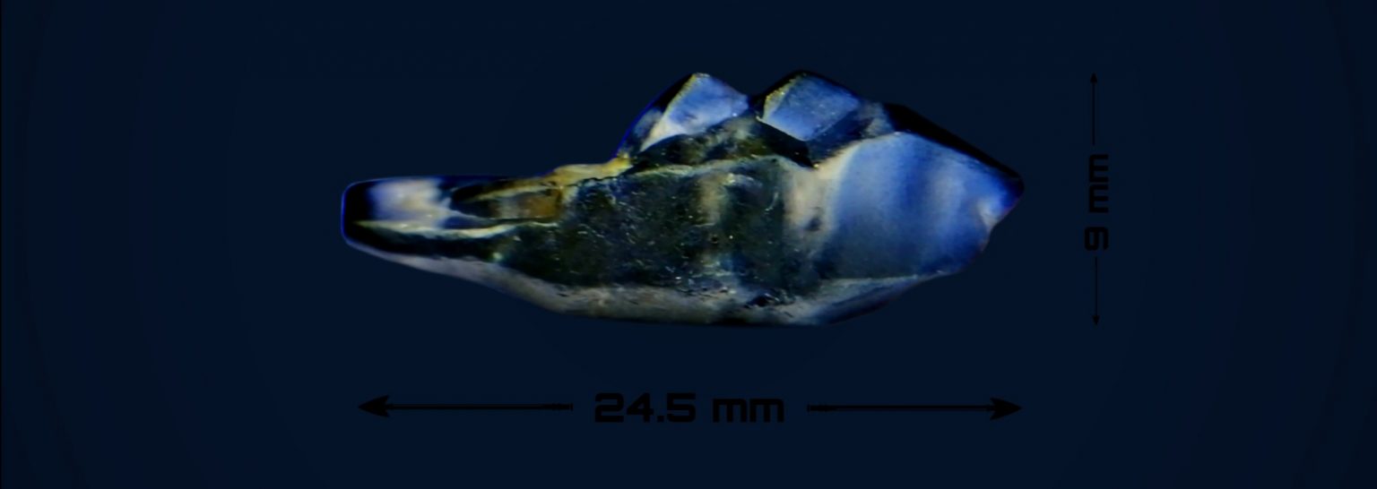 Ceylon Natural Sapphire fish crystal danu group image 02