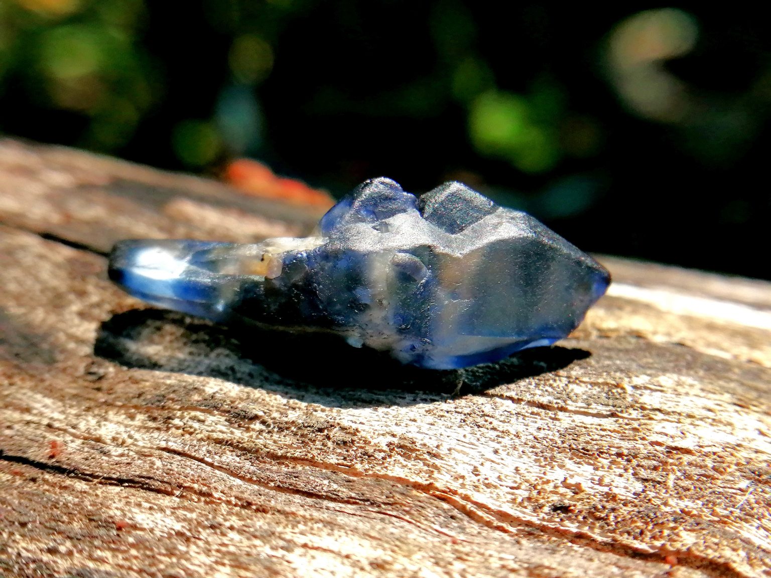 Ceylon Sapphire fish crystal danu group C