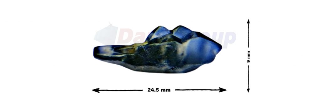 Ceylon Sapphire fish crystal Danu Group