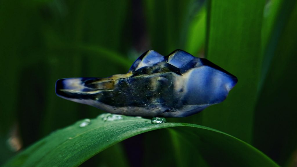 Ceylon Sapphire fish crystal danu group A