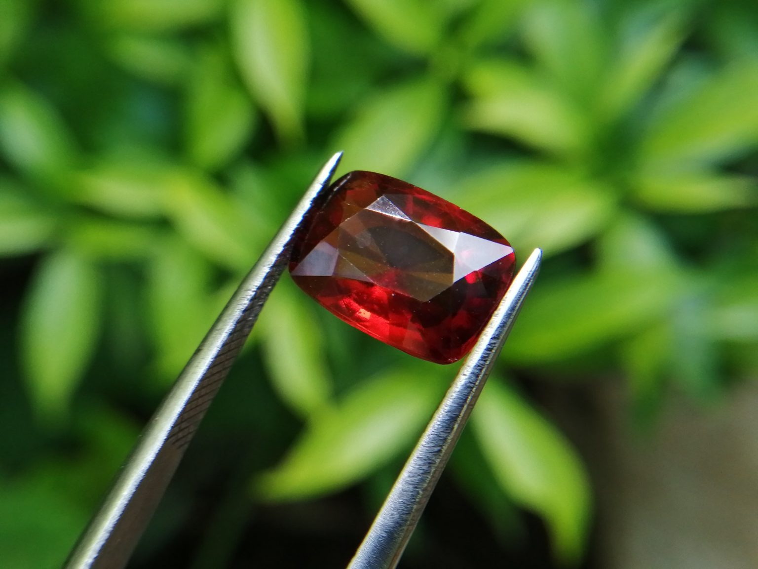 Hessonite Garnet - danu group