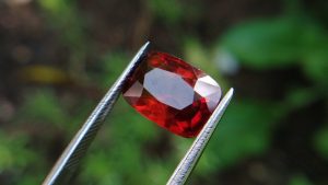 Hessonite Garnet - danu group