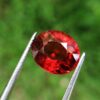 Hessonite Garnet - danu group