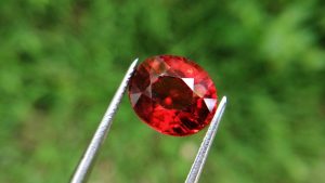 Hessonite Garnet - danu group
