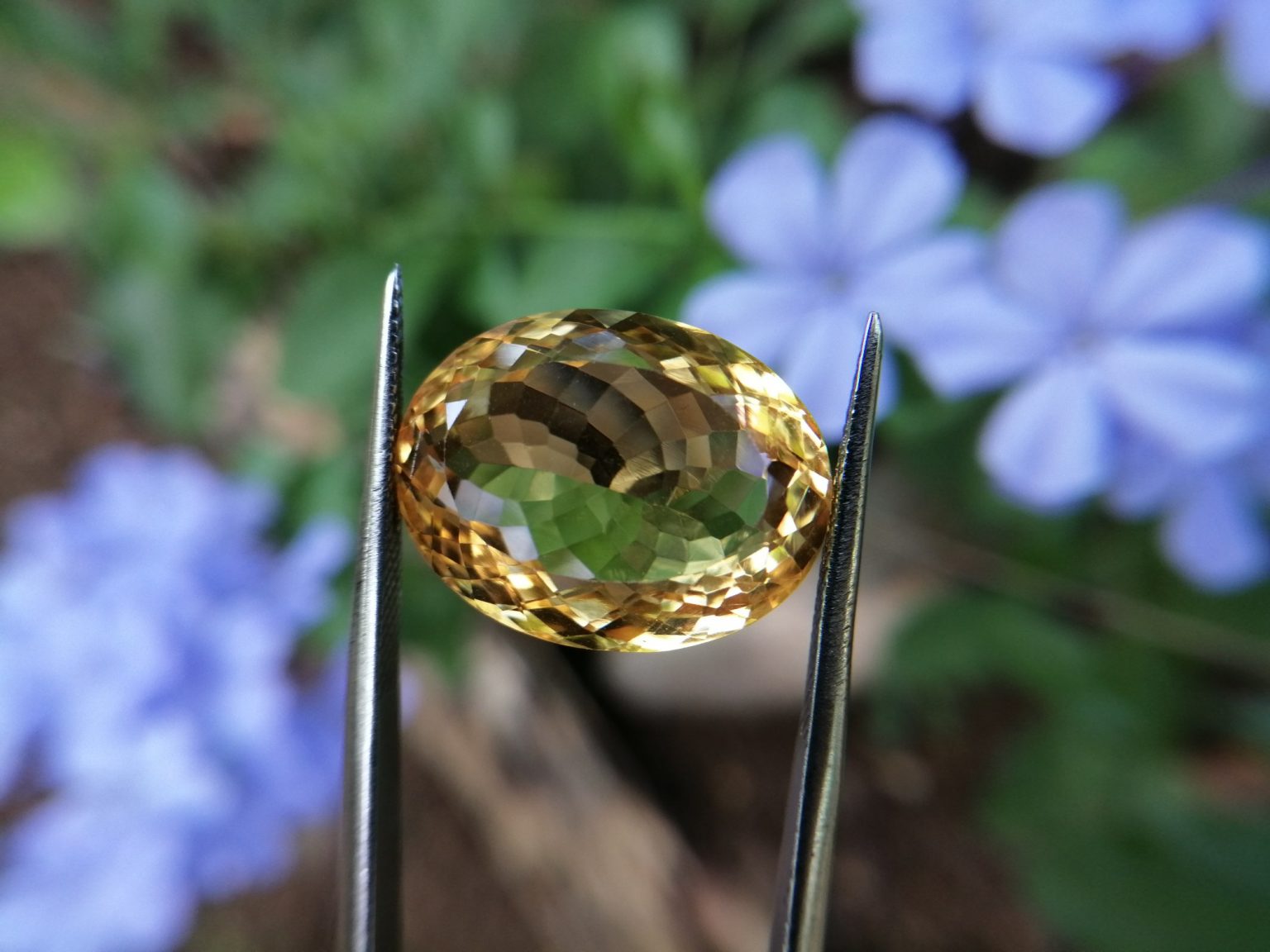 citrine gemstone danu group