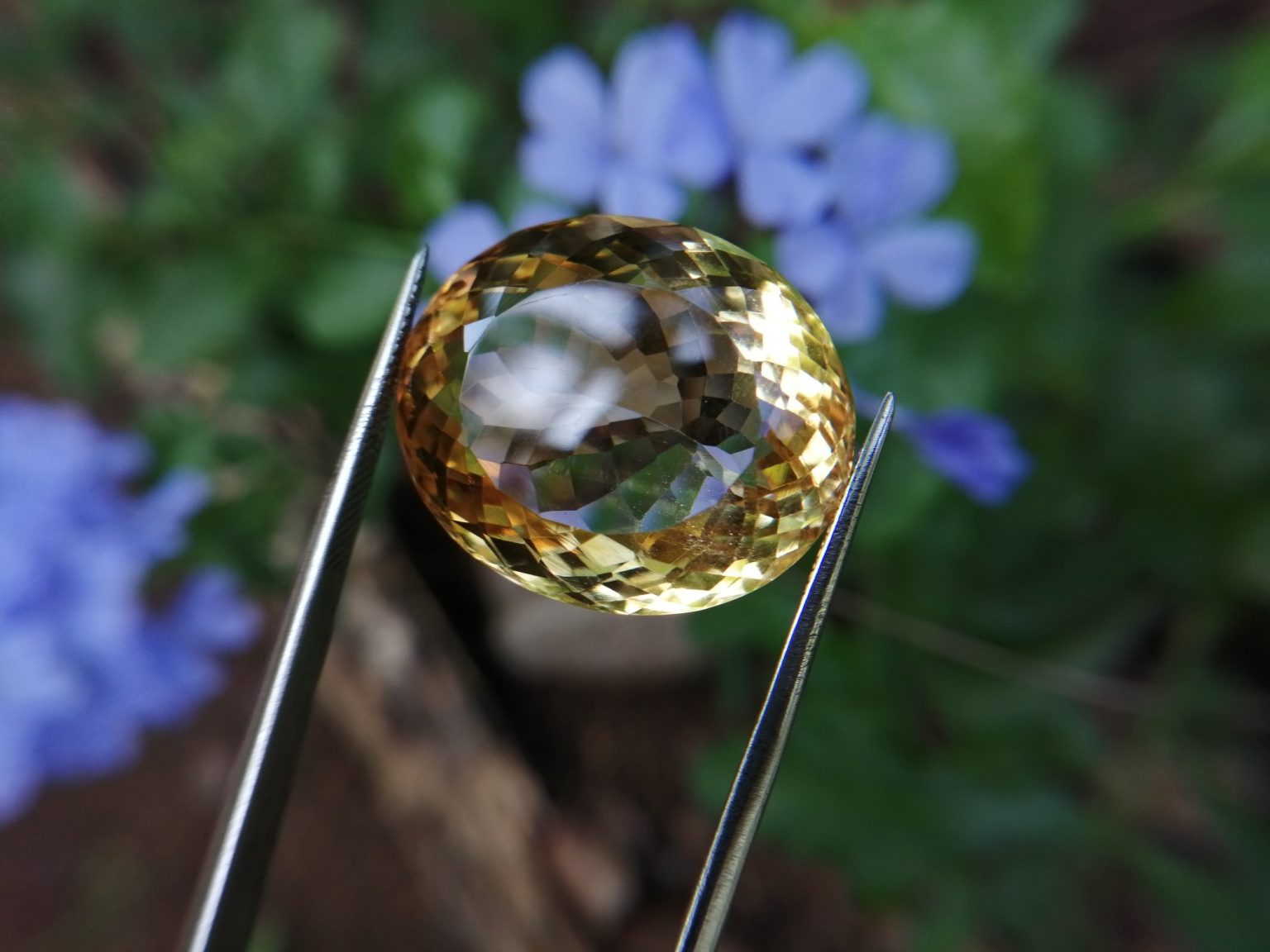 citrine gemstone danu group