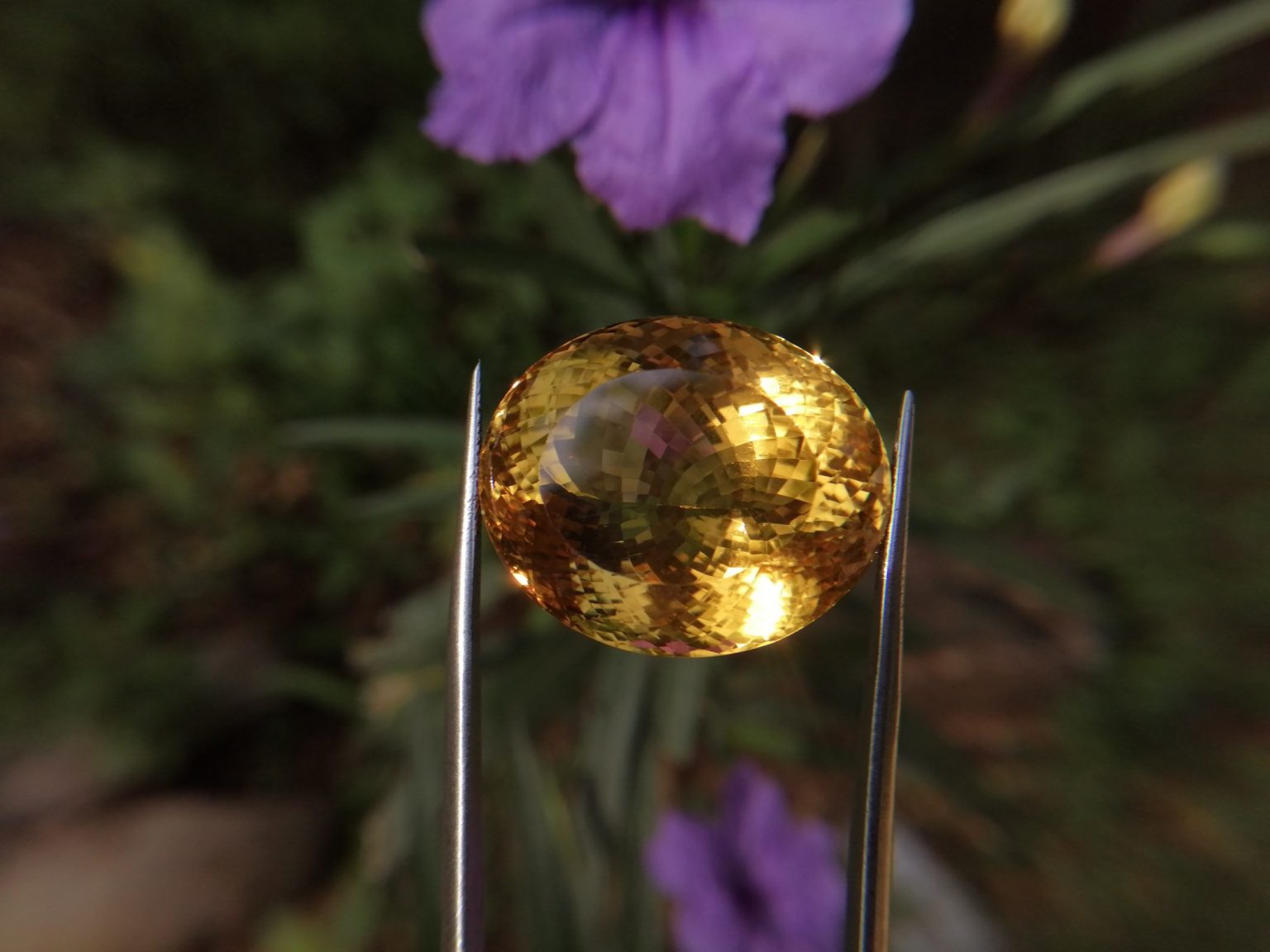 citrine gemstone danu group