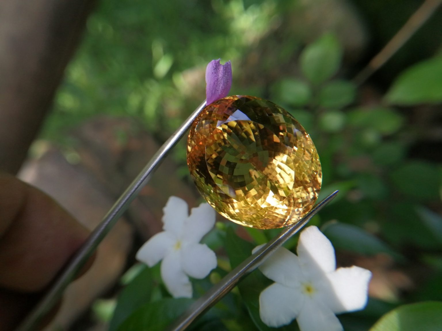 citrine gemstone danu group