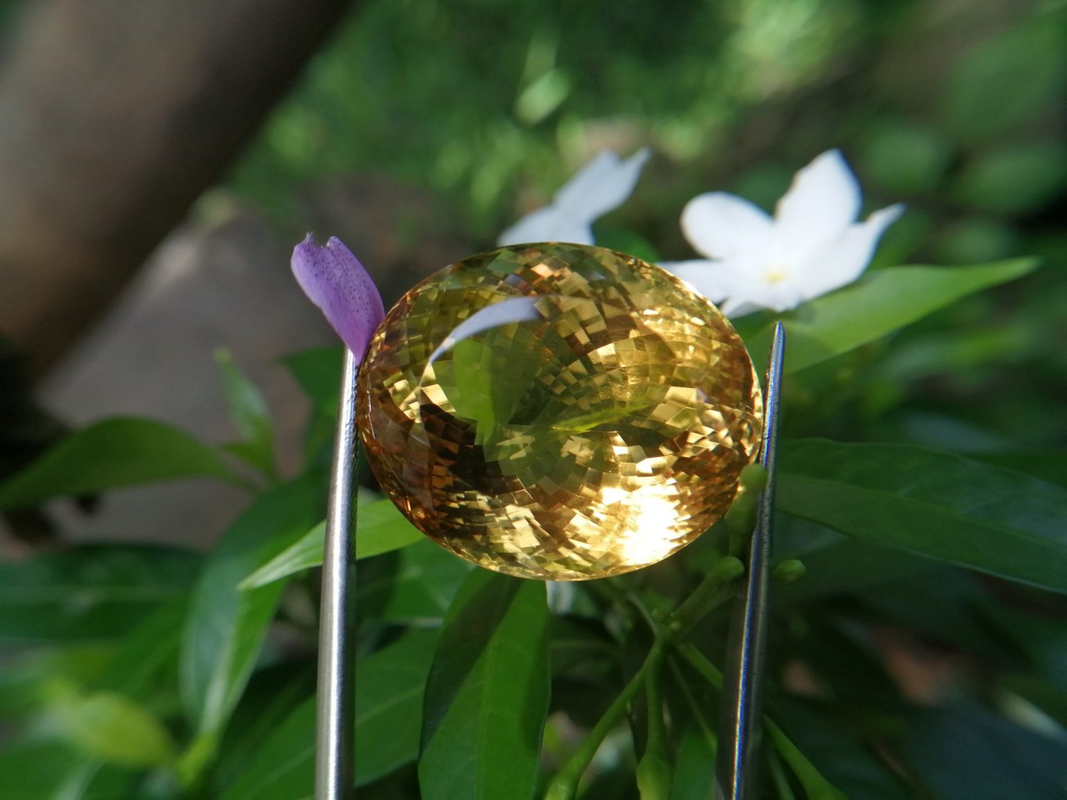 citrine gemstone danu group