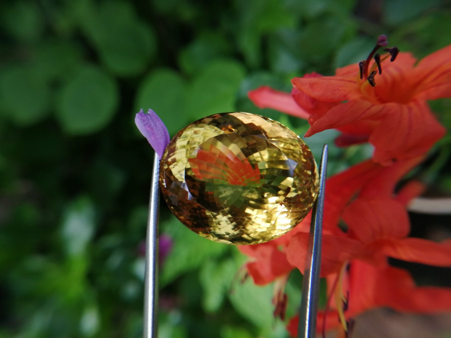 citrine gemstone danu group
