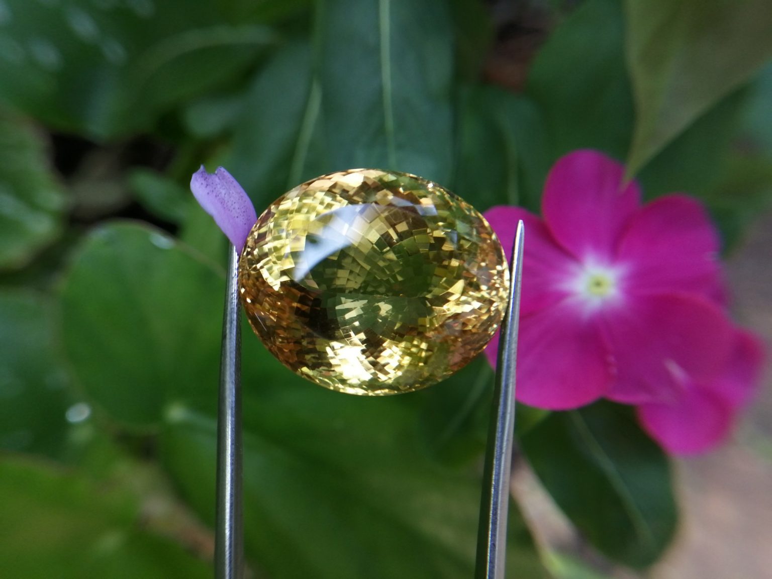 citrine gemstone danu group