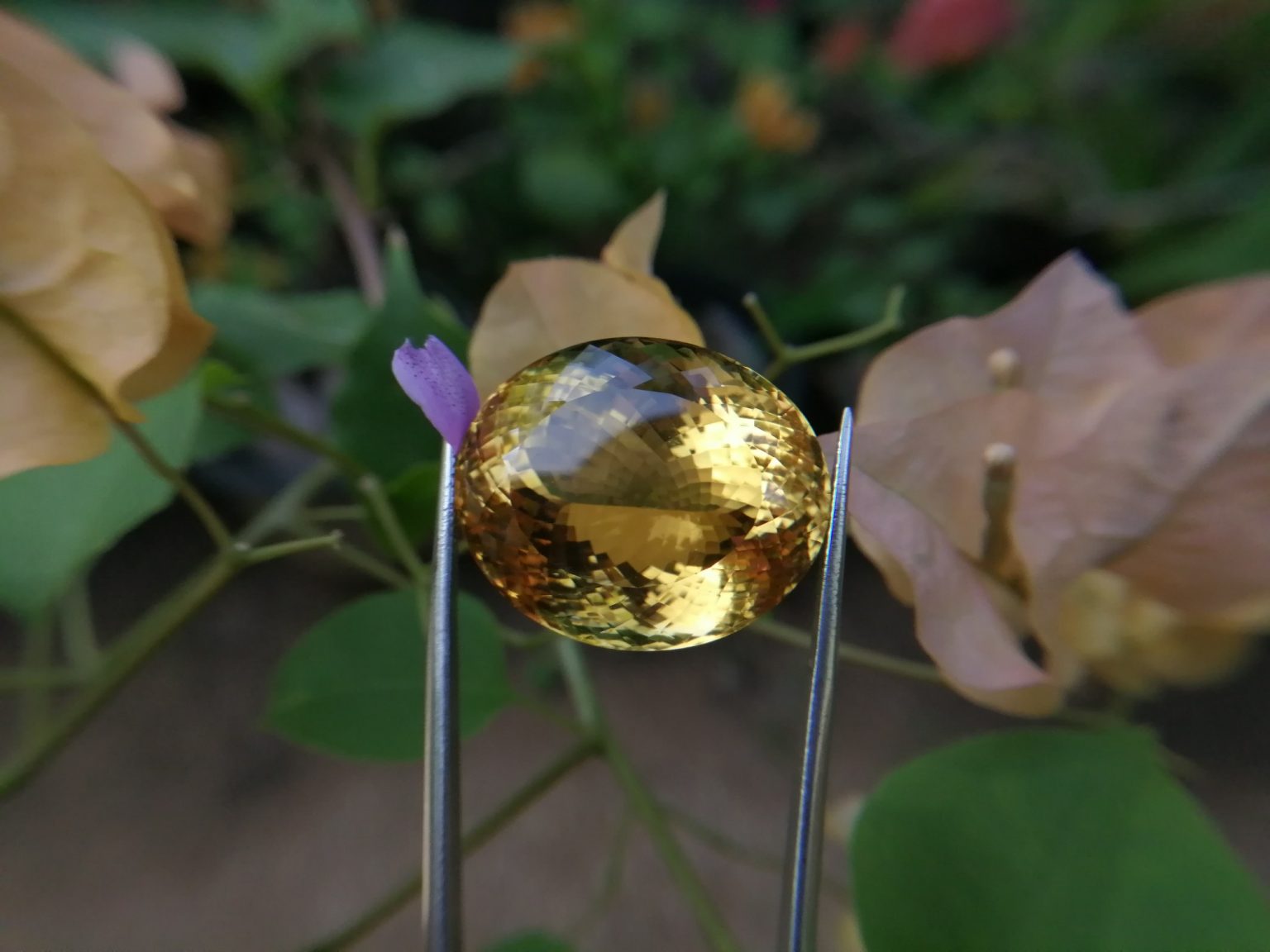 citrine gemstone danu group