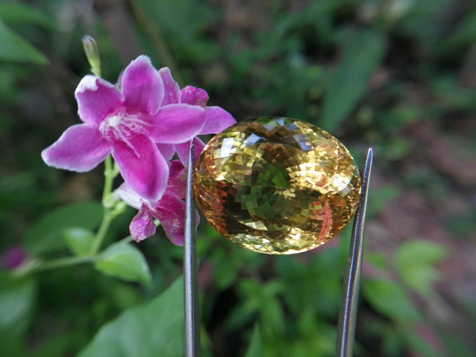 citrine gemstone danu group