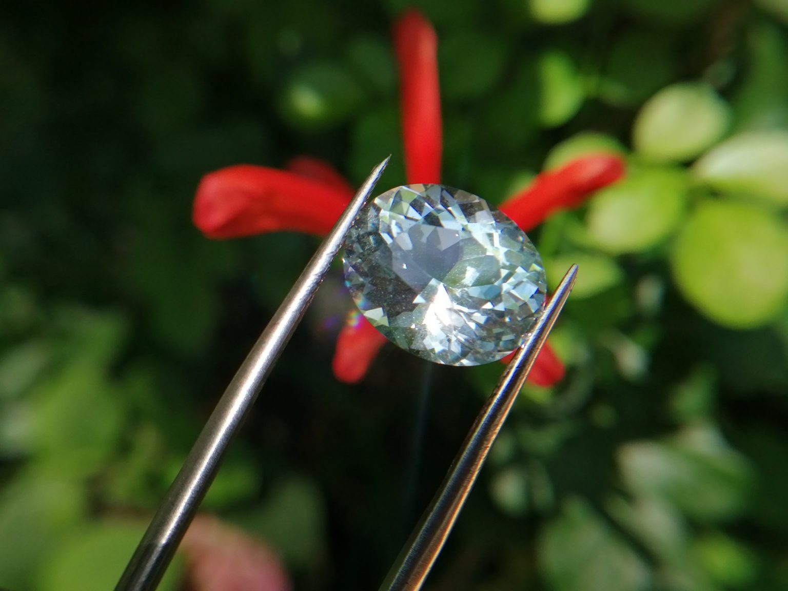 Blue Topaz danu group