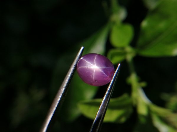 Natural Purple Star Sapphire Sri Lanka