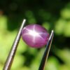Natural Purple Star Sapphire Sri Lanka