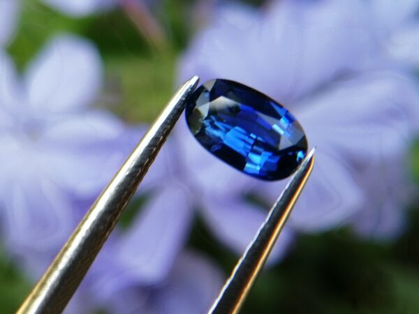 Ceylon Natural Cornflower Sapphire