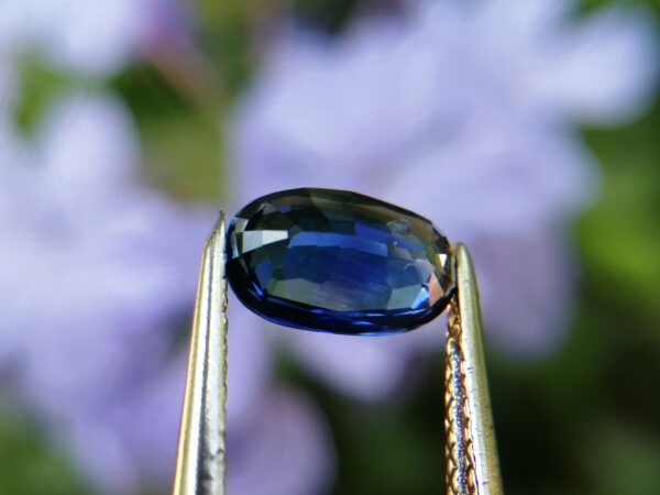 Ceylon Natural Cornflower Sapphire