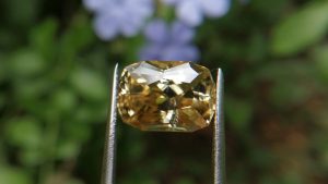 18_Sri Lankan Modified Cushion shape yellow zircon with jillson butterfly cut
