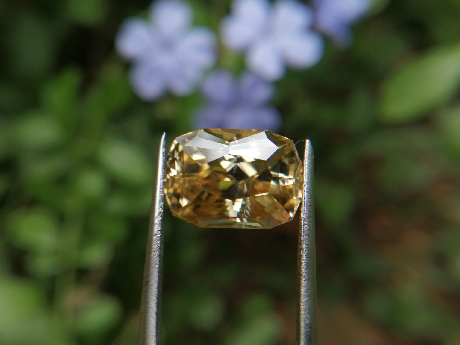 18_Sri Lankan Modified Cushion shape yellow zircon with jillson butterfly cut