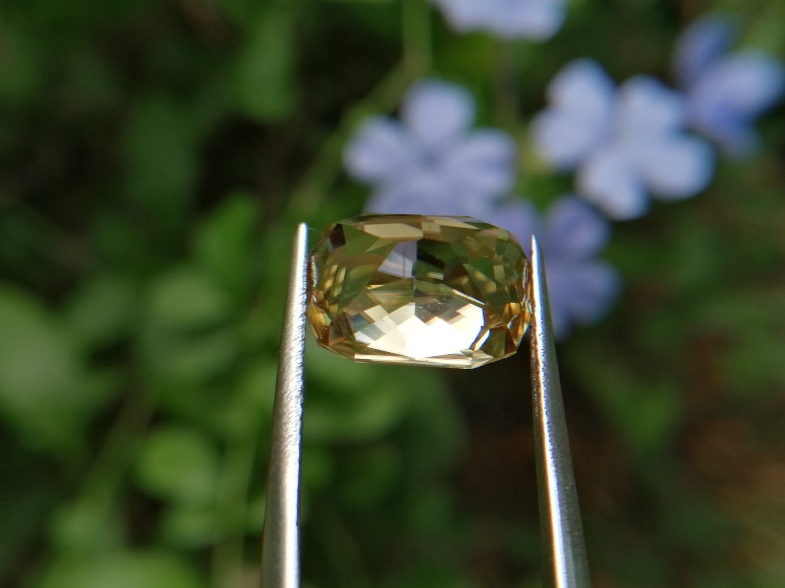 19_Sri Lankan Modified Cushion shape yellow zircon with jillson butterfly cut