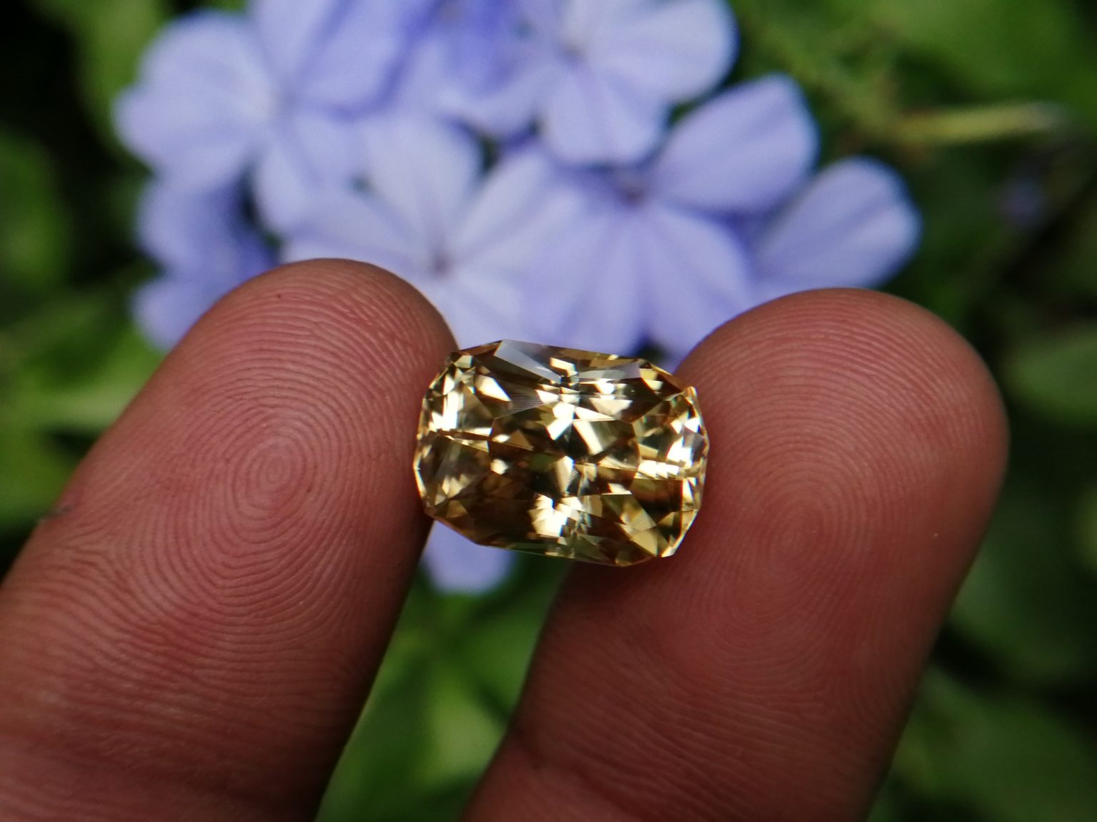 22_Sri Lankan Modified Cushion shape yellow zircon with jillson butterfly cut