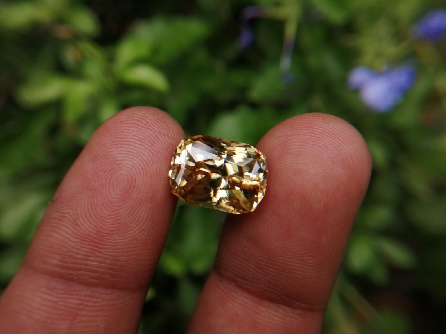 24_Sri Lankan Modified Cushion shape yellow zircon with jillson butterfly cut