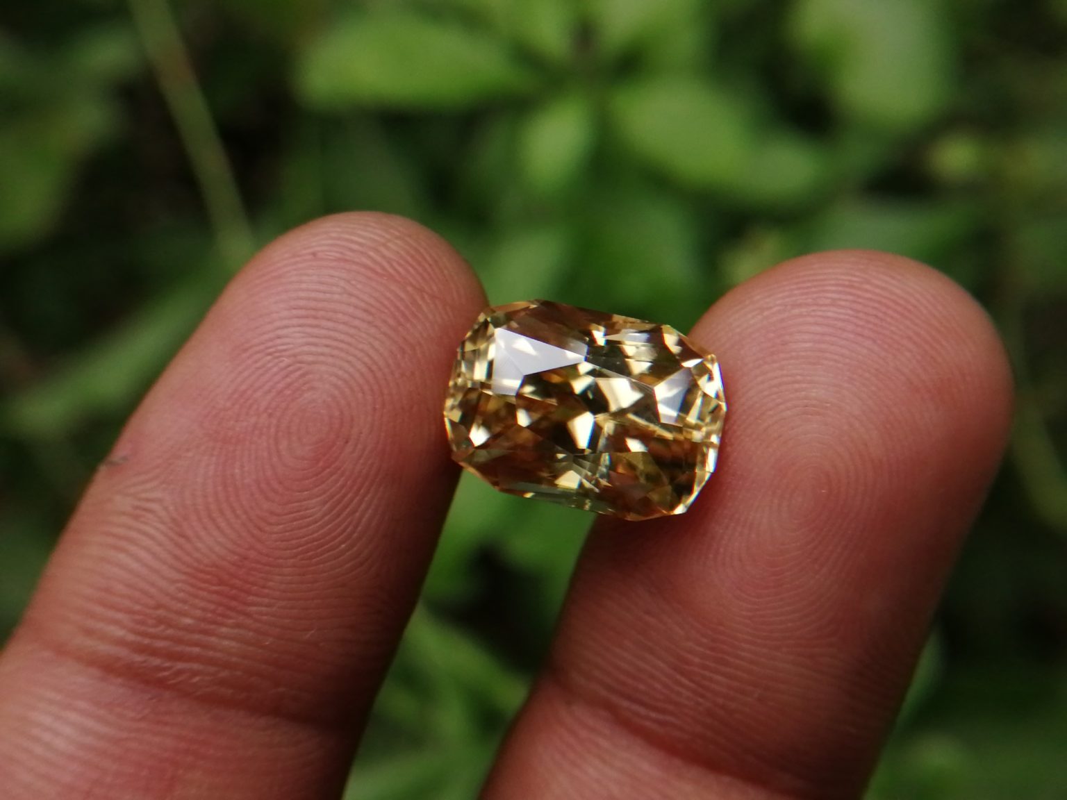 25_Sri Lankan Modified Cushion shape yellow zircon with jillson butterfly cut
