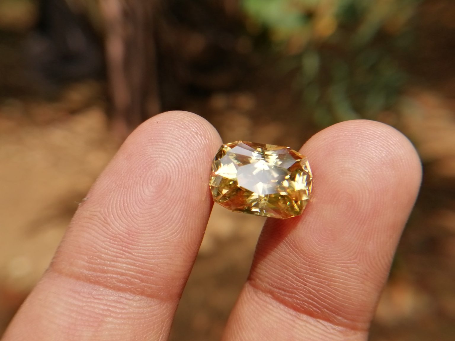 27_Sri Lankan Modified Cushion shape yellow zircon with jillson butterfly cut