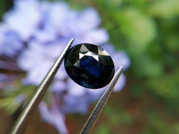 2_Danu Group dark blue sapphire