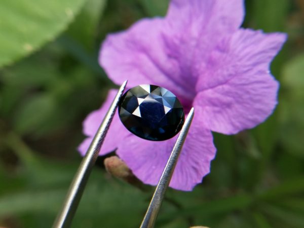 7_Danu Group dark blue sapphire