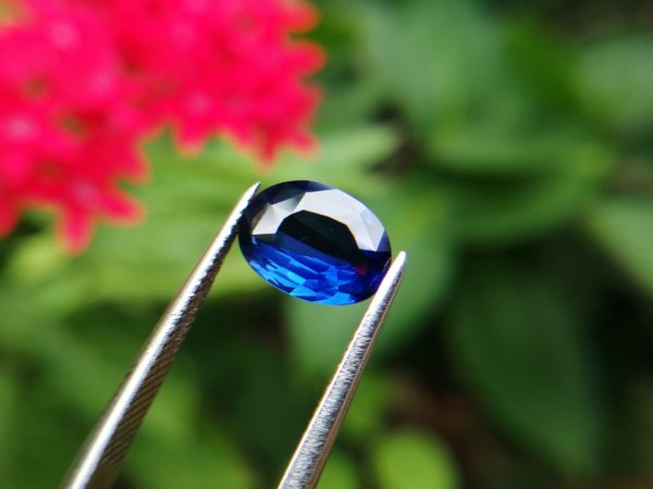 Ceylon Natural Royal Blue Sapphire Danu Group Gemstones