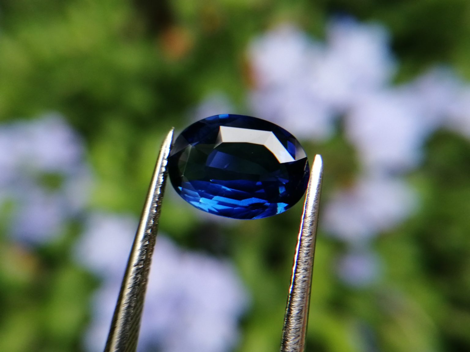 Ceylon Natural Royal Blue Sapphire Danu Group Gemstones