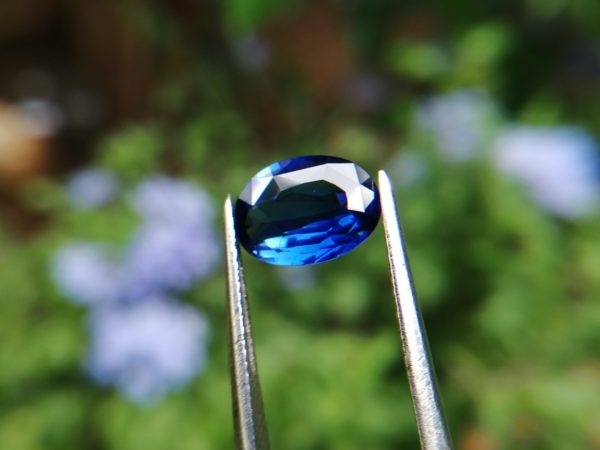 Ceylon Natural Royal Blue Sapphire Danu Group Gemstones