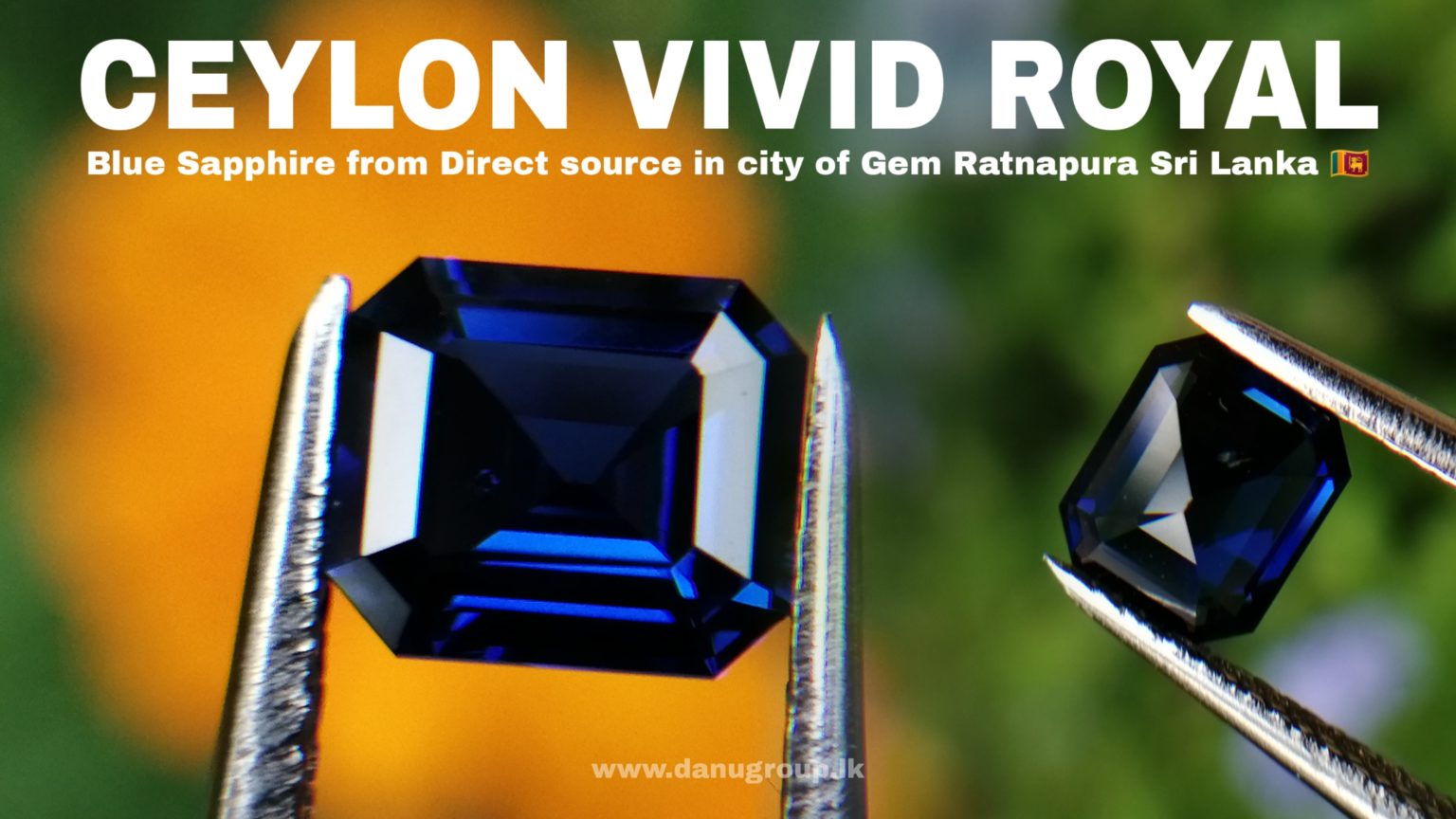 High Quality Ceylon Natural Vivid Blue "Royal Blue" Sapphire Danu Group Gemstones