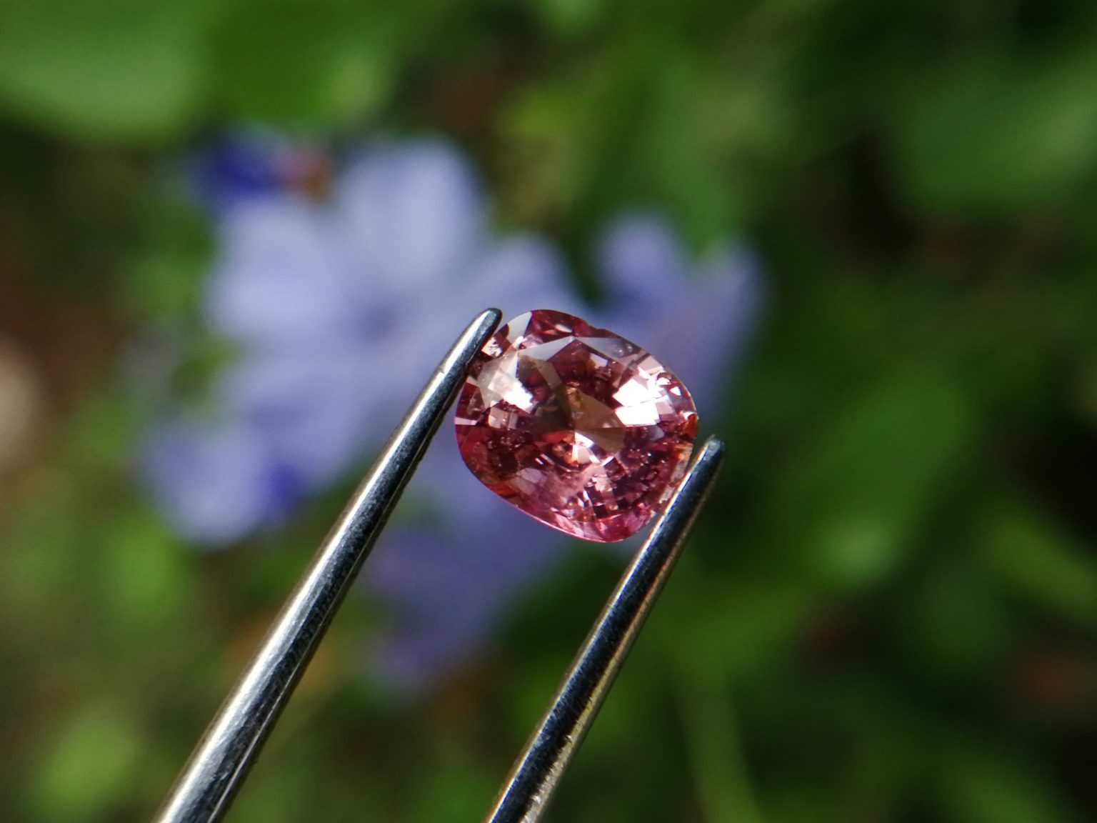 7_Natural Padparadscha sapphire king sapphire from danu group