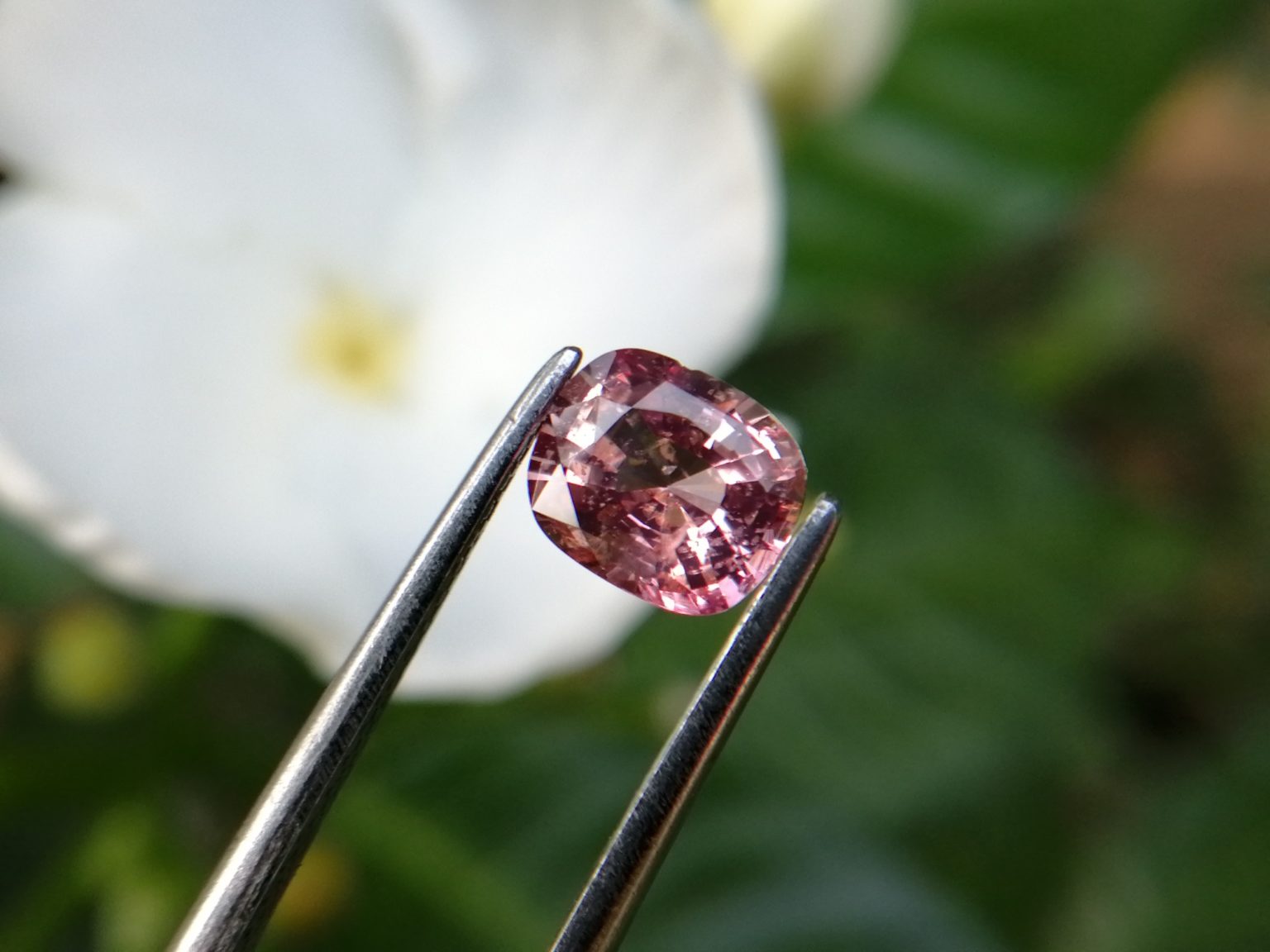 7_Natural Padparadscha sapphire king sapphire from danu group