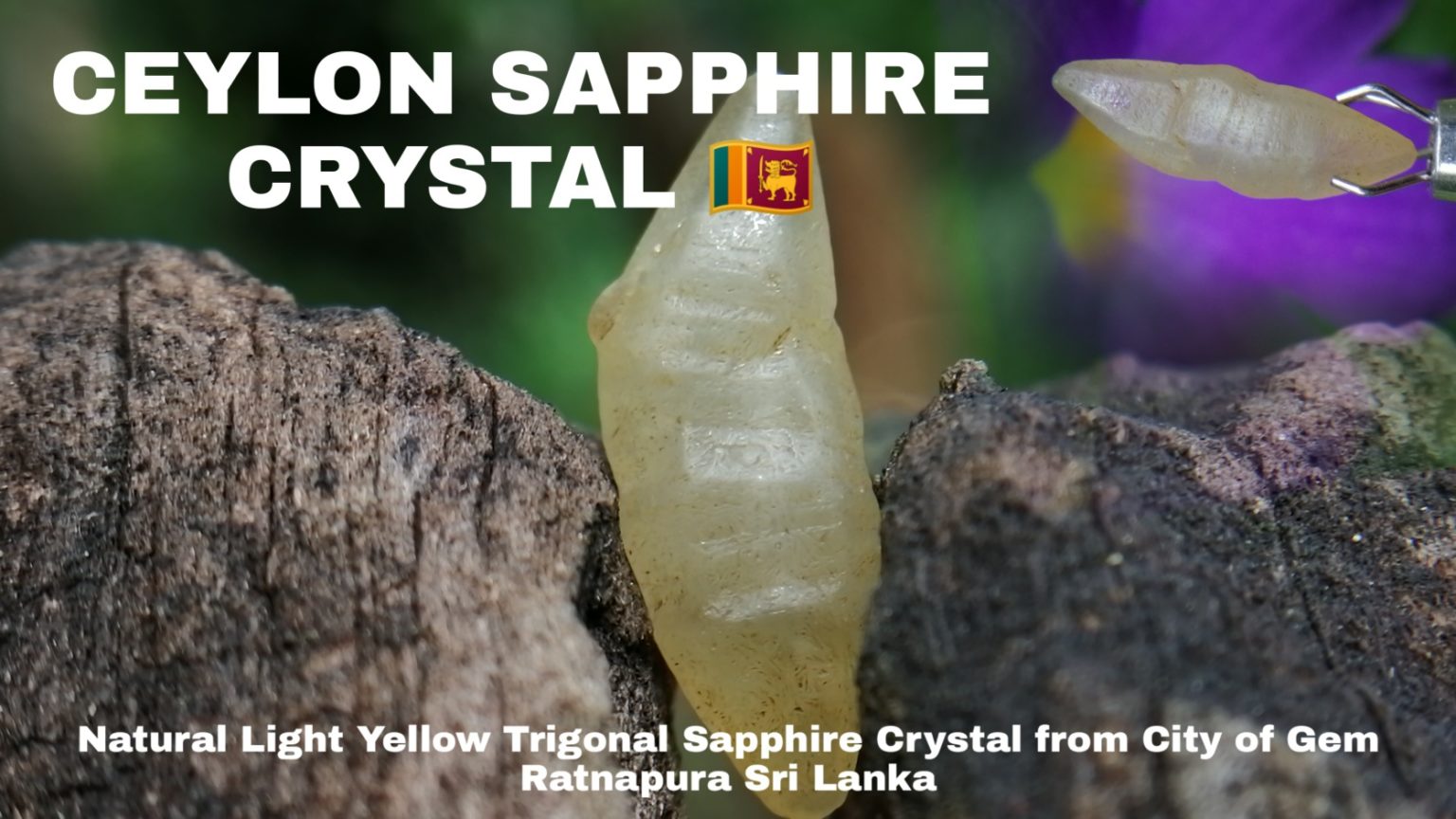 11_ceylon Natural Sapphire Crystal - Danu Group Gemstones
