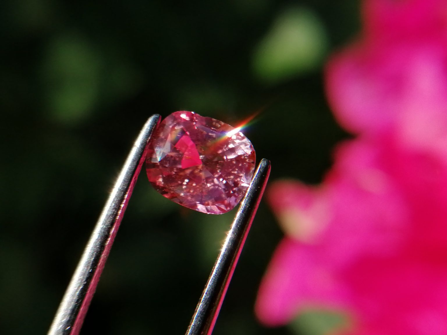 7_Natural Padparadscha sapphire king sapphire from danu group