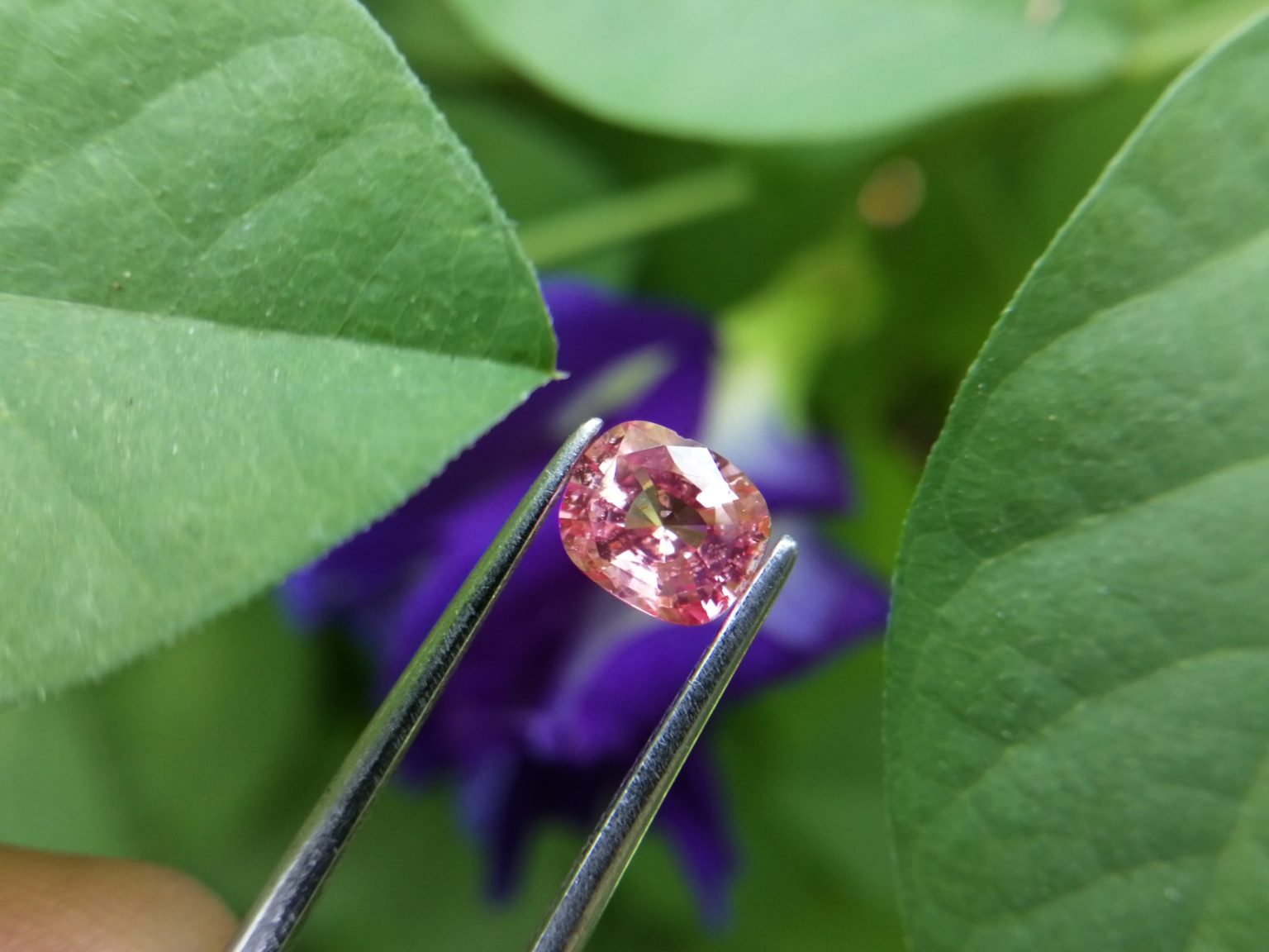 7_Natural Padparadscha sapphire king sapphire from danu group