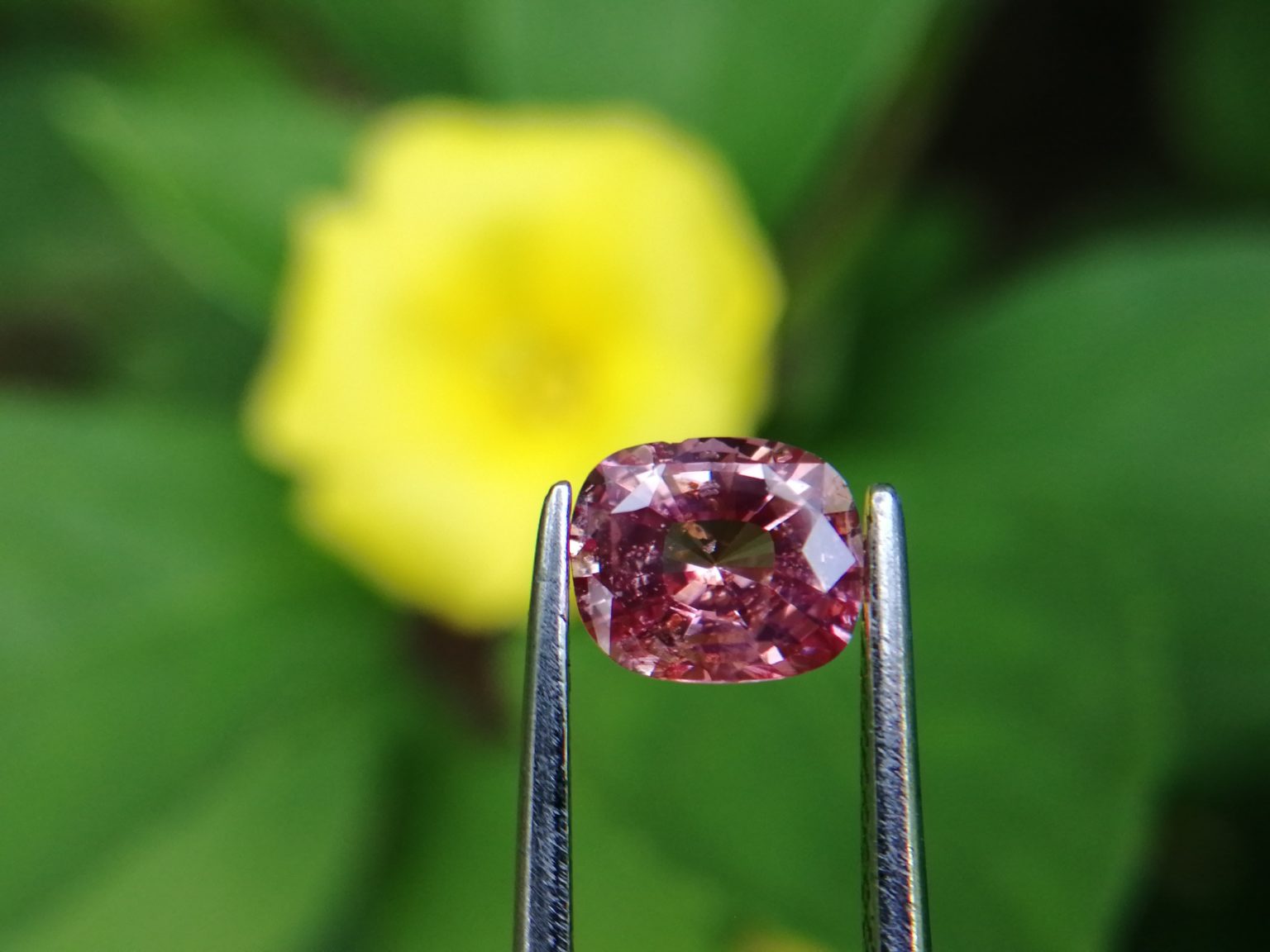 7_Natural Padparadscha sapphire king sapphire from danu group