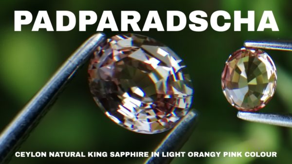 14_Ceylon Natural Padparadscha Sapphire King sapphire from danu group