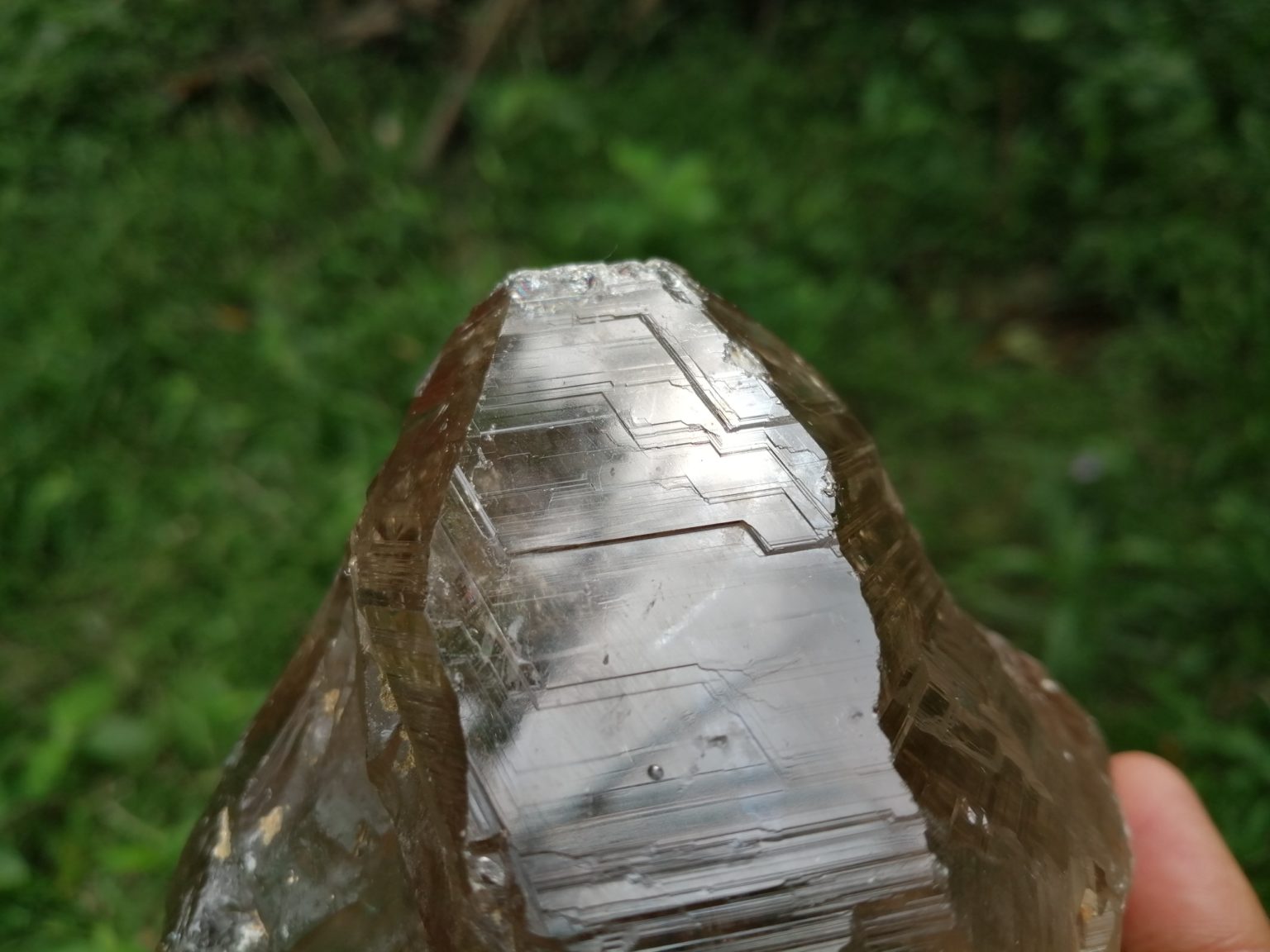5_Ceylon Natural Quartz Crystal with step marks - Danu Group Gemstones