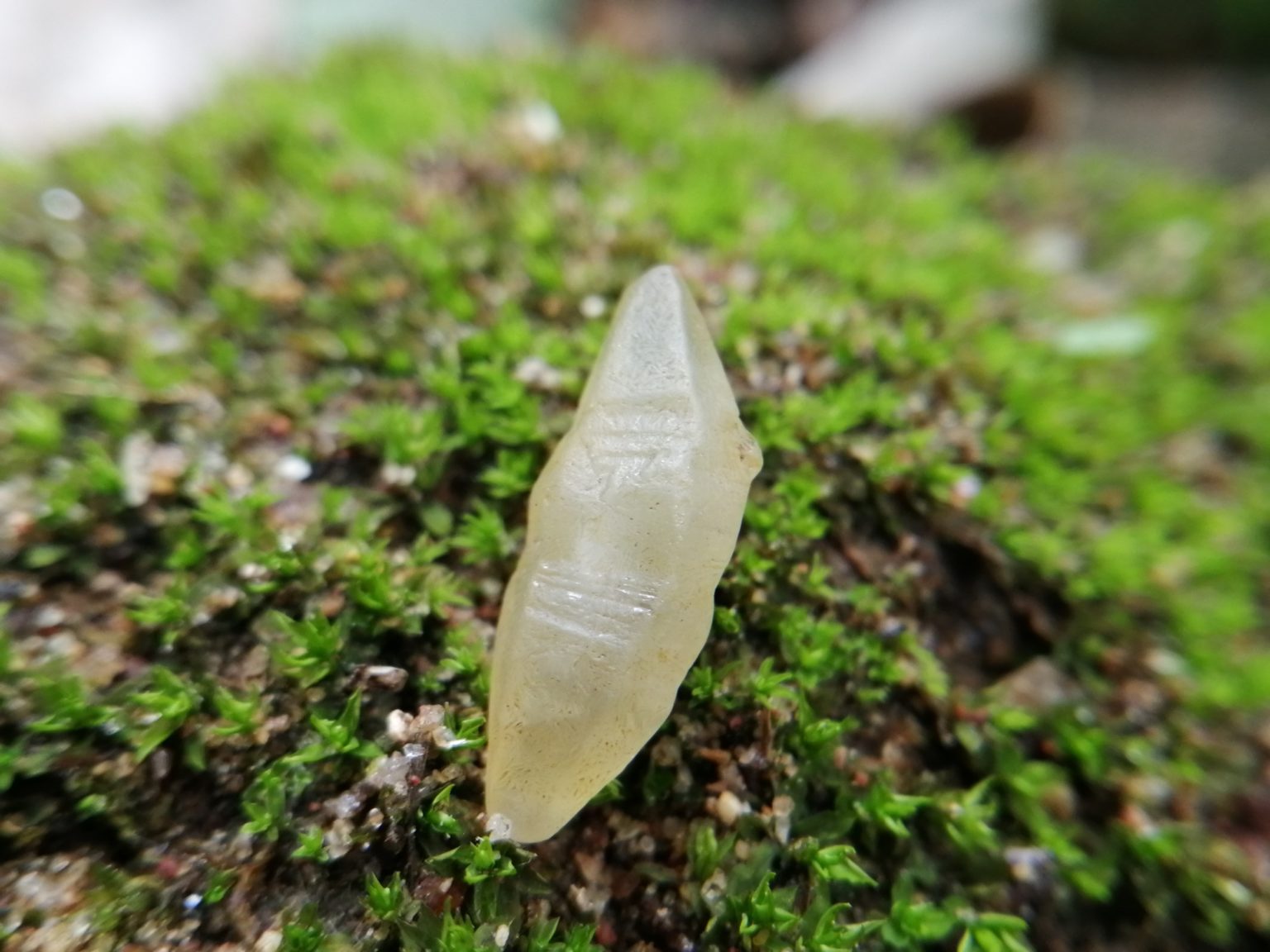 11_ceylon Natural Sapphire Crystal - Danu Group Gemstones