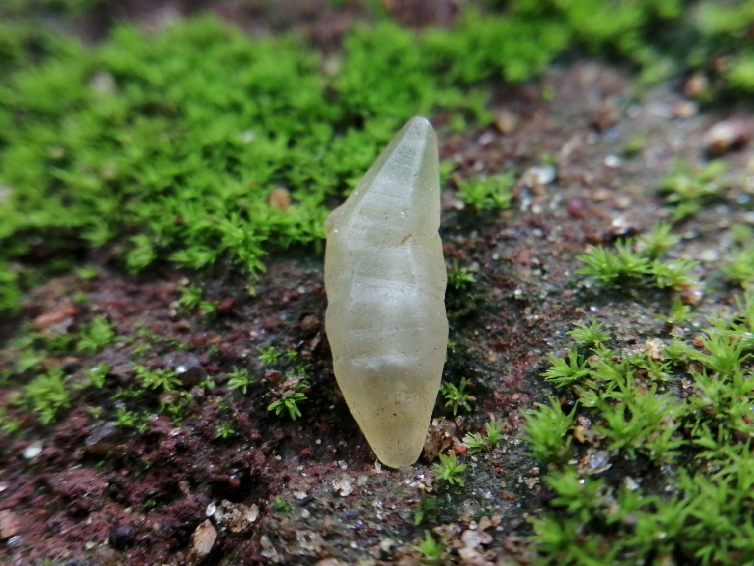 11_ceylon Natural Sapphire Crystal - Danu Group Gemstones