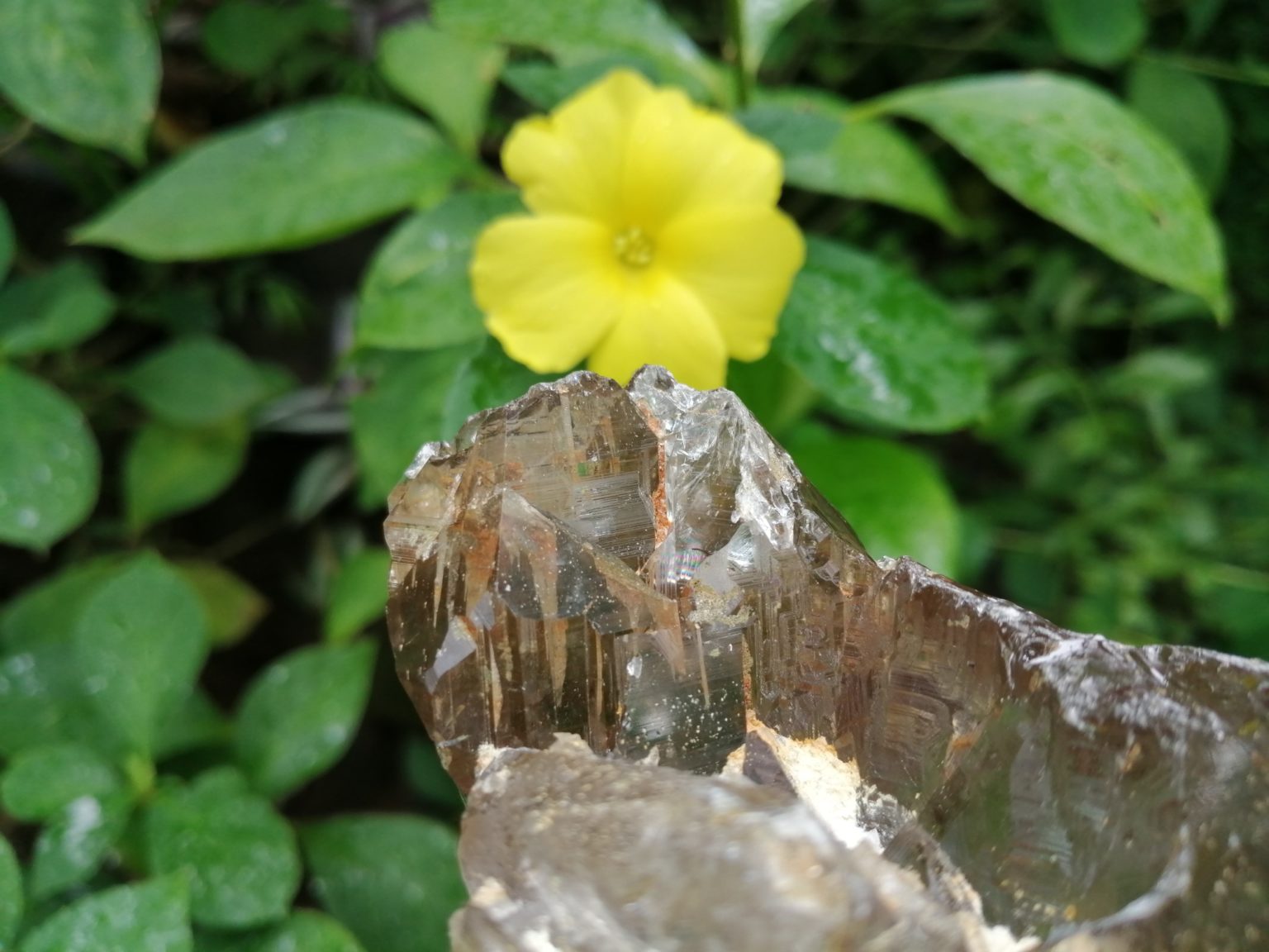 5_Ceylon Natural Quartz Crystal with step marks - Danu Group Gemstones
