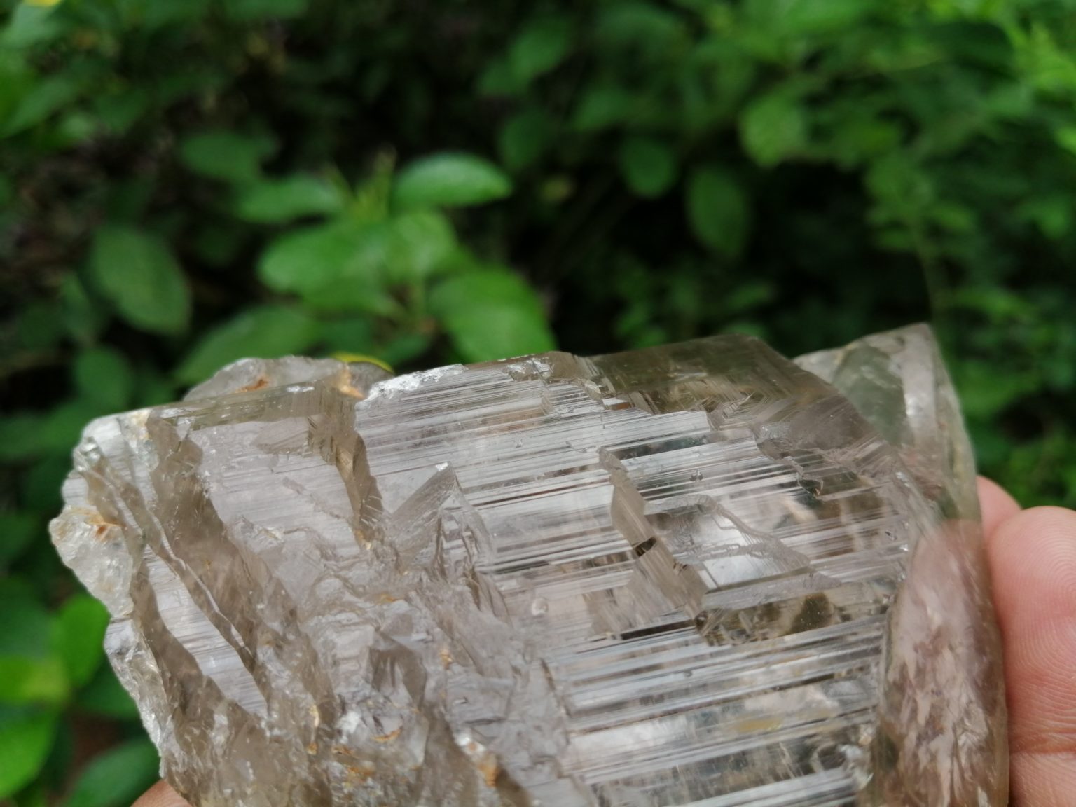 5_Ceylon Natural Quartz Crystal with step marks - Danu Group Gemstones