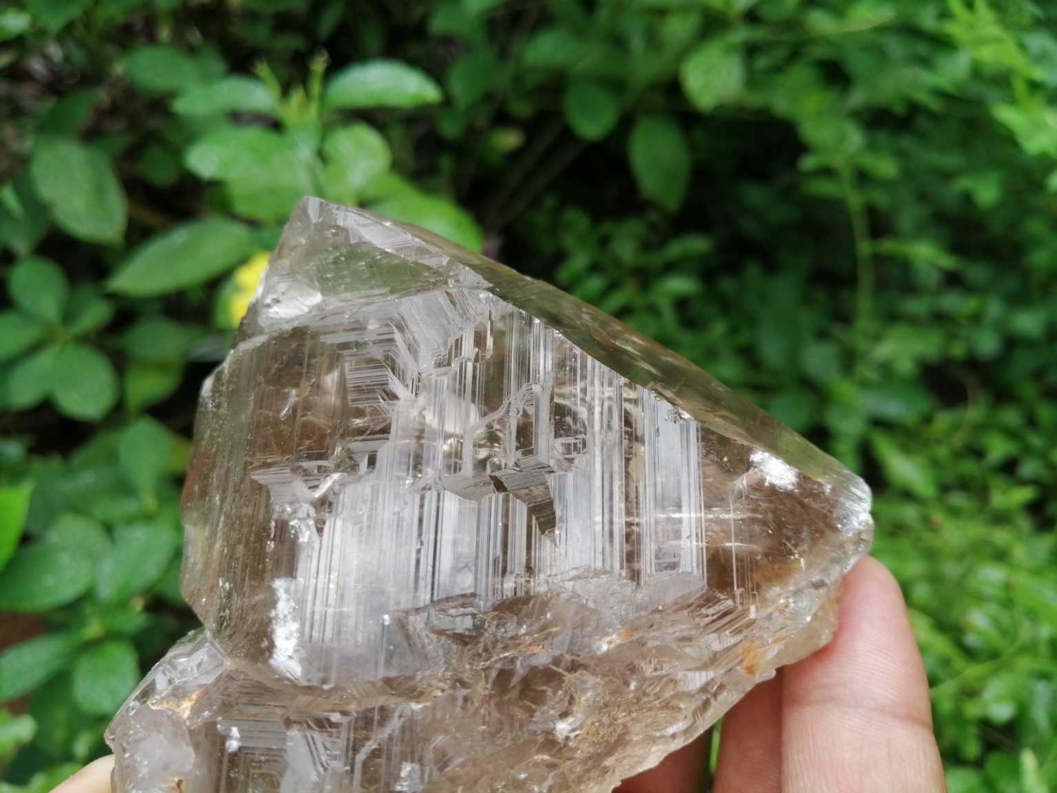 5_Ceylon Natural Quartz Crystal with step marks - Danu Group Gemstones