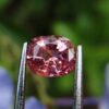 7_Natural Padparadscha sapphire king sapphire from danu group