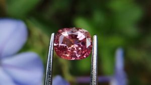 7_Natural Padparadscha sapphire king sapphire from danu group